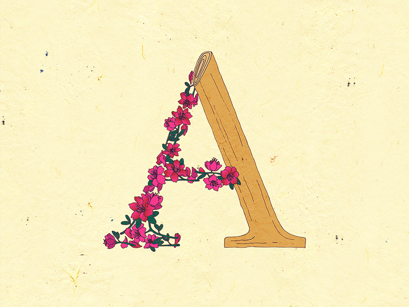 alphabet animation